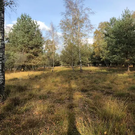 Apartman City-apparte Exklusiv - Direkt Am Antonius-hospital - Stilvoll Wohnen Im Herzen Von Gronau