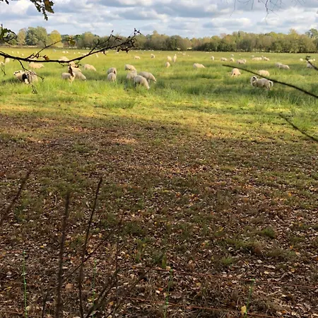 Apartman City-apparte Exklusiv - Direkt Am Antonius-hospital - Stilvoll Wohnen Im Herzen Von Gronau