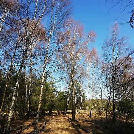 Apartman City-apparte Exklusiv - Direkt Am Antonius-hospital - Stilvoll Wohnen Im Herzen Von *