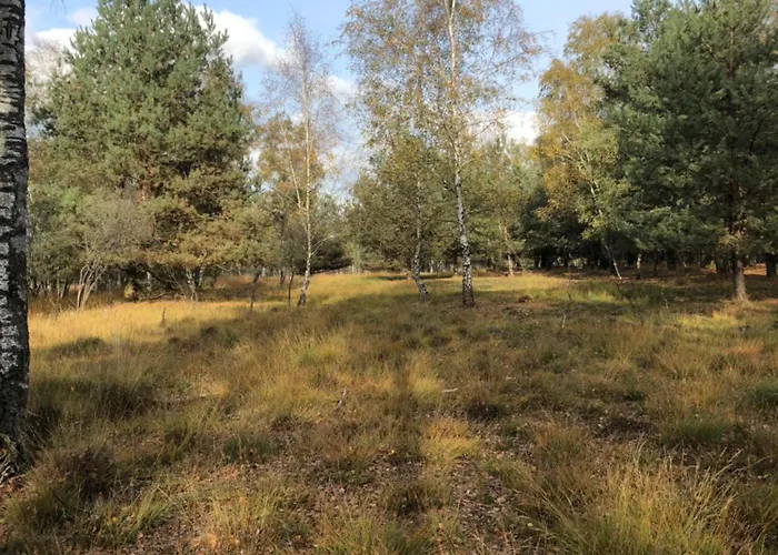 Appartamento City-apparte Exklusiv - Direkt Am Antonius-hospital - Stilvoll Wohnen Im Herzen Von Gronau (Westfalen)