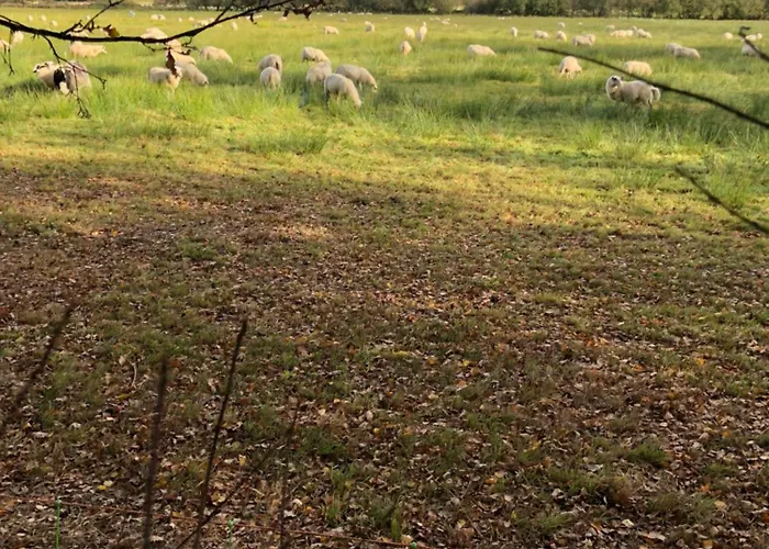 Appartamento City-apparte Exklusiv - Direkt Am Antonius-hospital - Stilvoll Wohnen Im Herzen Von Gronau (Westfalen)
