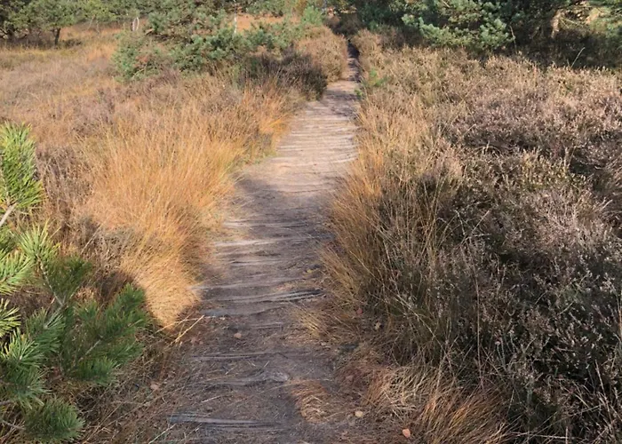 City-apparte Exklusiv - Direkt Am Antonius-hospital - Stilvoll Wohnen Im Herzen Von Gronau (Westfalen)