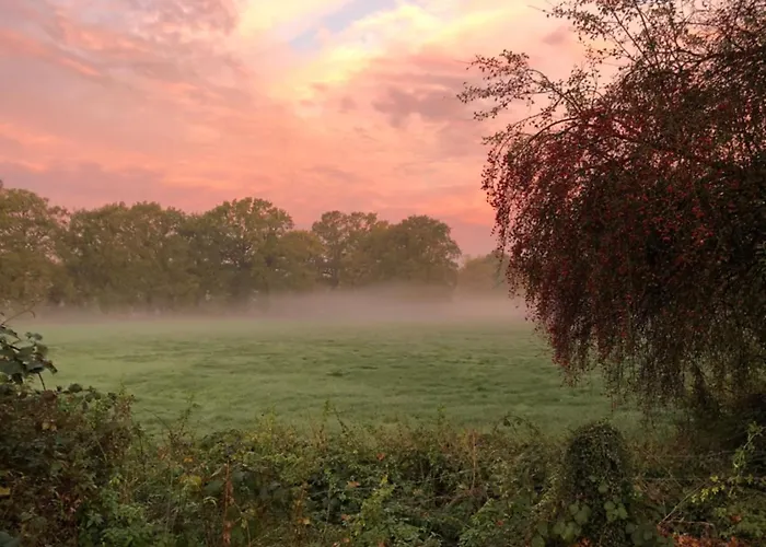 City-apparte Exklusiv - Direkt Am Antonius-hospital - Stilvoll Wohnen Im Herzen Von Gronau (Westfalen)