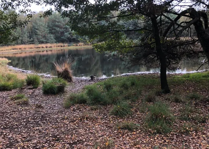 Appartamento City-apparte Exklusiv - Direkt Am Antonius-hospital - Stilvoll Wohnen Im Herzen Von Gronau (Westfalen)