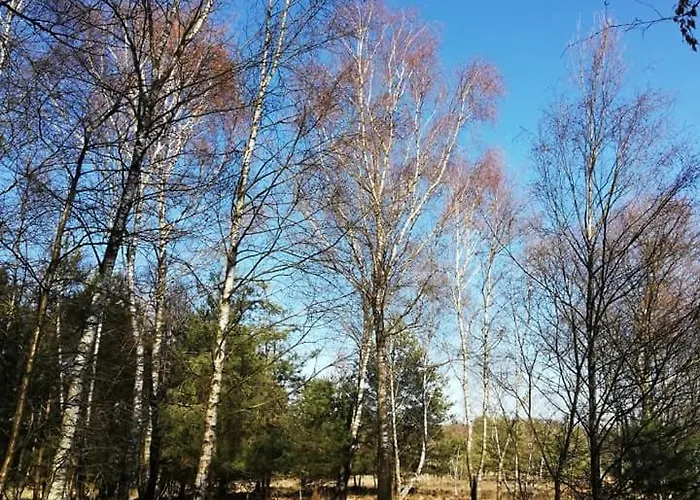 Appartamento City-apparte Exklusiv - Direkt Am Antonius-hospital - Stilvoll Wohnen Im Herzen Von *